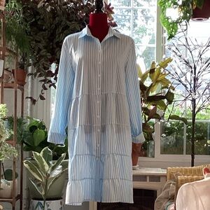 Blue Striped Button-Up Dress